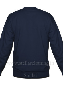 Navy Back 1